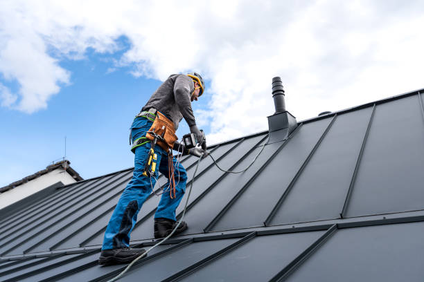 Roof Moss and Algae Removal